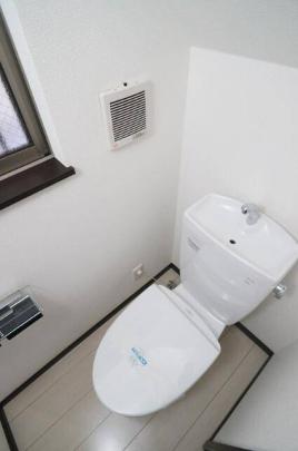 �������֍�