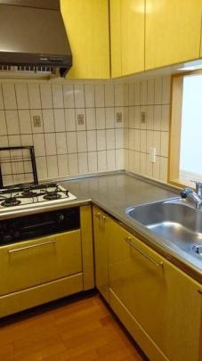 �V�X�e���L�b�`��