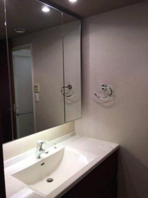 人気の独立洗面所