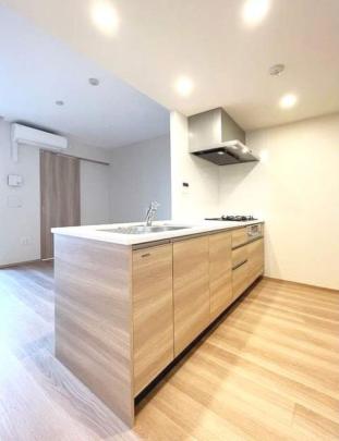 �l�C�̃V�X�e���L�b�`���ł�