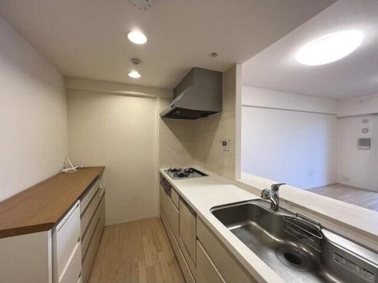 �V�X�e���L�b�`���ł�