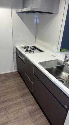 �V�X�e���L�b�`��