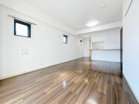 �V�X�e���L�b�`���ł�