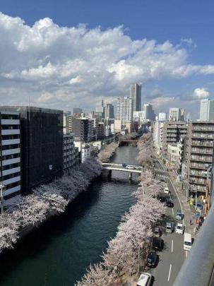 ���]�ǍD�ł�