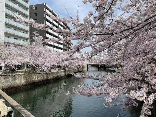 �剪�삪�����܂�