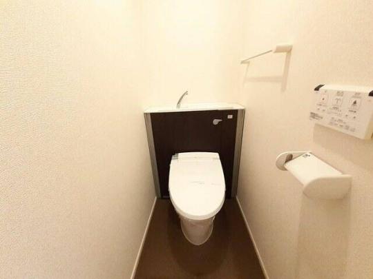 �������֍�����