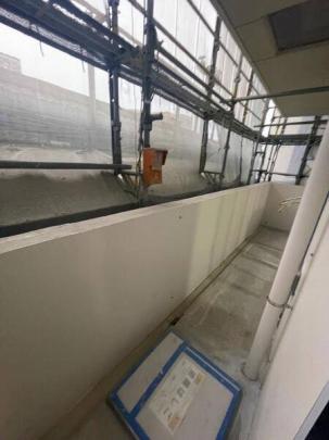 �o���R�j�[�L��