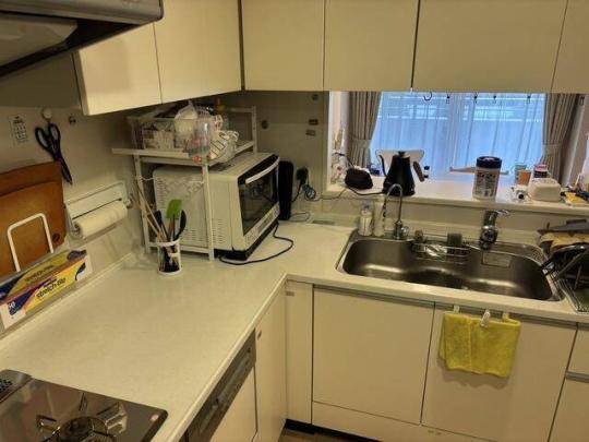 �V�X�e���L�b�`���ł�