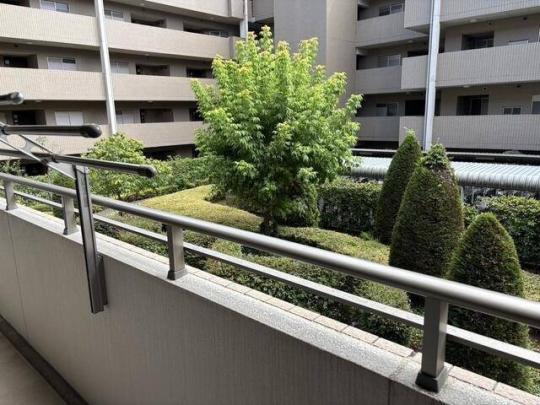 �o���R�j�[