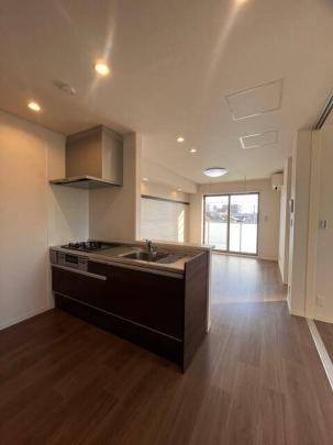 �V�X�e���L�b�`��