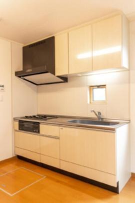 �V�X�e���L�b�`���ł�