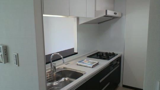 �V�X�e���L�b�`���ł�