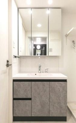 �l�C�̓Ɨ����ʏ�