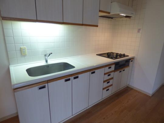 �V�X�e���L�b�`���ł�