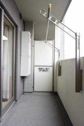 ��v�̌��ʂł�