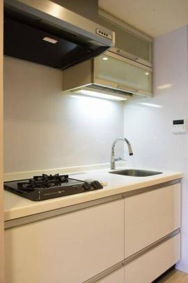 �V�X�e���L�b�`���ł�