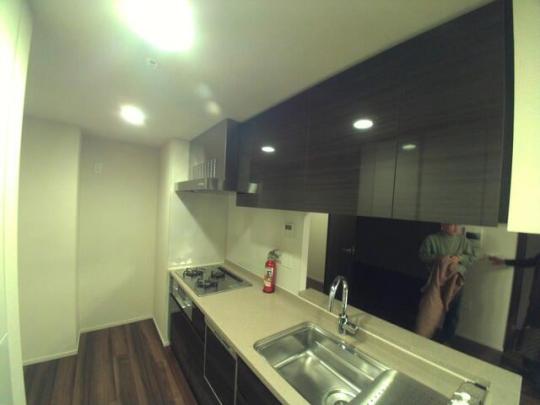 �V�X�e���L�b�`���ł�