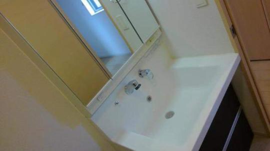 �l�C�̓Ɨ����ʏ�