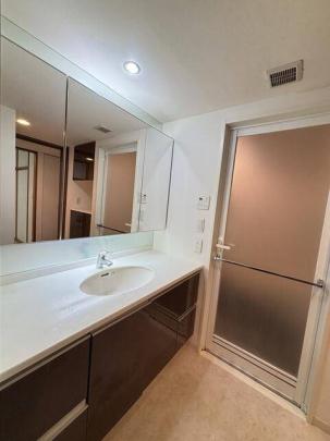 �l�C�̓Ɨ����ʏ�