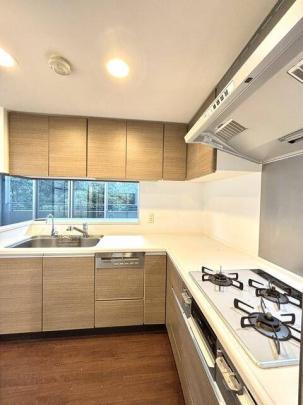 �V�X�e���L�b�`���ł�