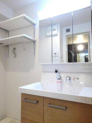 �l�C�̓Ɨ����ʏ�