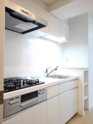 �V�X�e���L�b�`���ł�