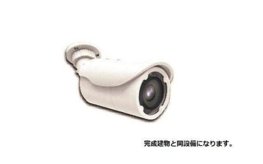 �G���g�����X�h�ƃJ��������