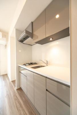 �V�X�e���L�b�`���ł�