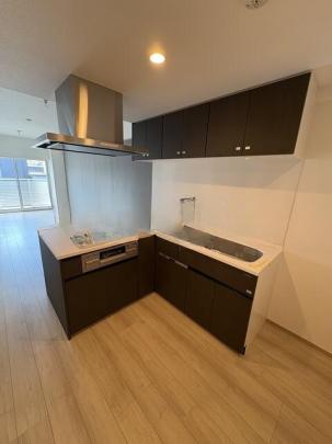 �V�X�e���L�b�`���ł�