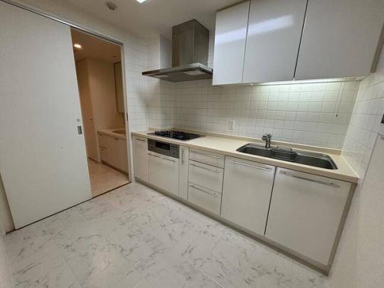 �l�C�̃V�X�e���L�b�`���ł�