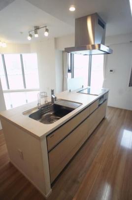 �V�X�e���L�b�`��