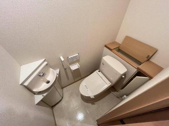 �������֍��ł�