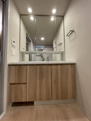 �l�C�ȓƗ����ʑ�ł�