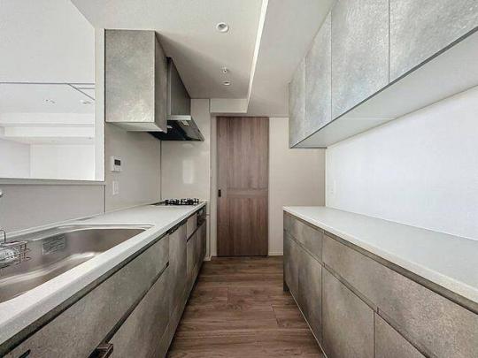 �V�X�e���L�b�`��