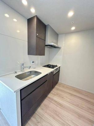 �V�X�e���L�b�`���ł�