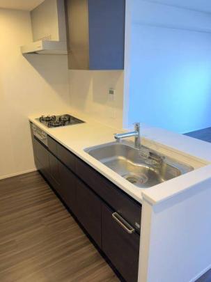 �V�X�e���L�b�`���ł�