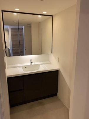 �l�C�̓Ɨ����ʏ�