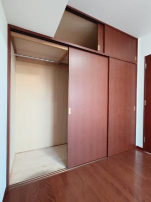 LD���m���̎��[