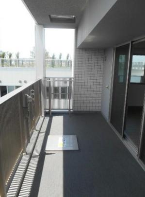 �쐼�����̍L���o���R�j�[