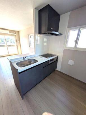 �V�X�e���L�b�`��