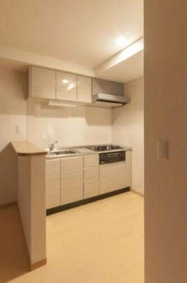 �V�X�e���L�b�`���ł�