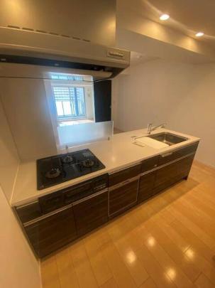 �l�C�ȓƗ����ʑ�ł�