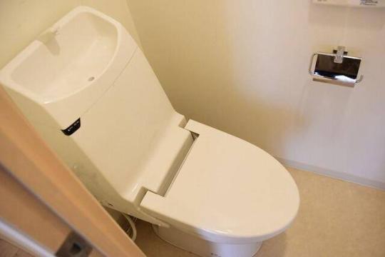 �������֍�����