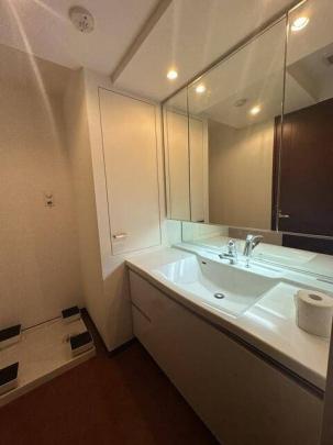 �g���₷�����ʑ�ł�