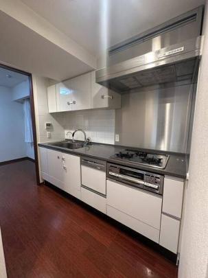 �l�C�̃V�X�e���L�b�`���ł�