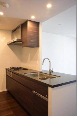 �V�X�e���L�b�`��