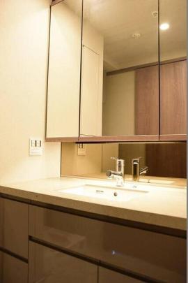 �l�C�̓Ɨ����ʏ�