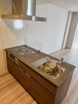 �V�X�e���L�b�`���ł�