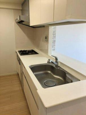 �V�X�e���L�b�`���ł�