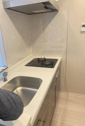 �V�X�e���L�b�`��